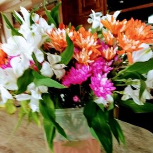 Meet your Posher, Trudy